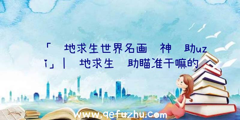 「绝地求生世界名画韦神辅助uzi」|绝地求生辅助瞄准干嘛的